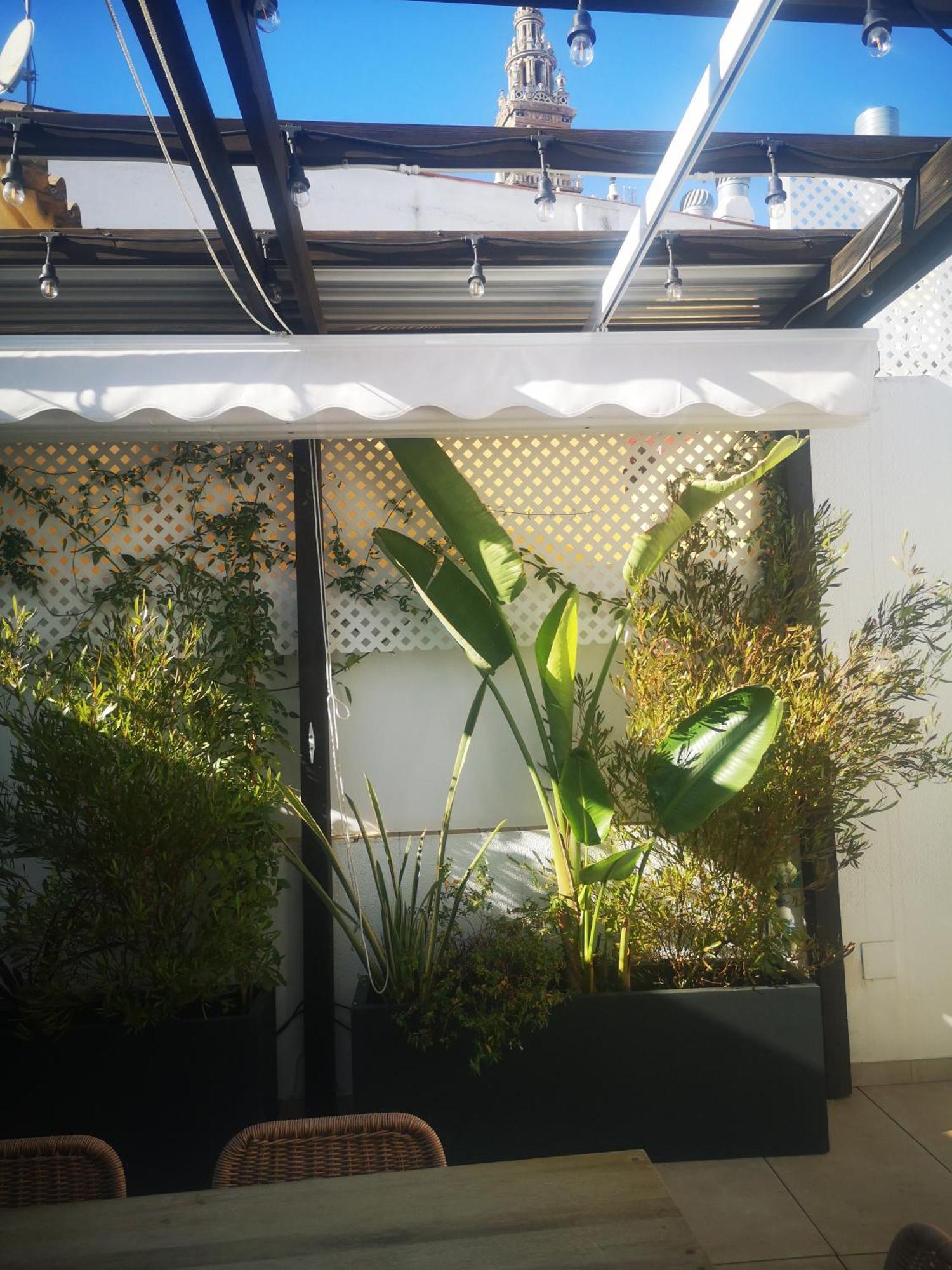 Ferienwohnung Duplex Luxury Giralda With Terrace Sevilla Exterior foto